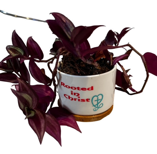 Mother's Day Planter